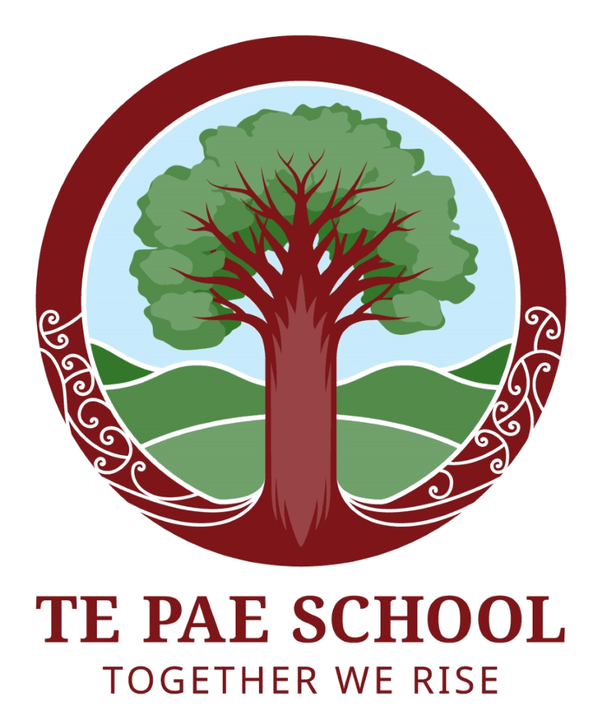 Te-Pae-School-Logo